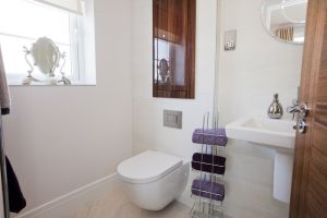 chestnut shadwell 40 sm.jpg